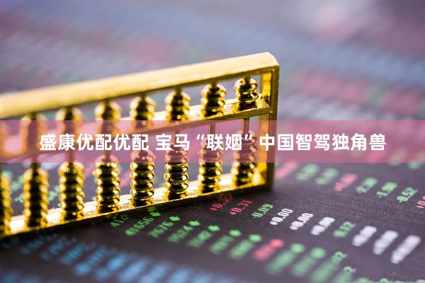 盛康优配优配 宝马“联姻”中国智驾独角兽