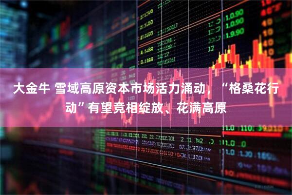 大金牛 雪域高原资本市场活力涌动，“格桑花行动”有望竞相绽放、花满高原